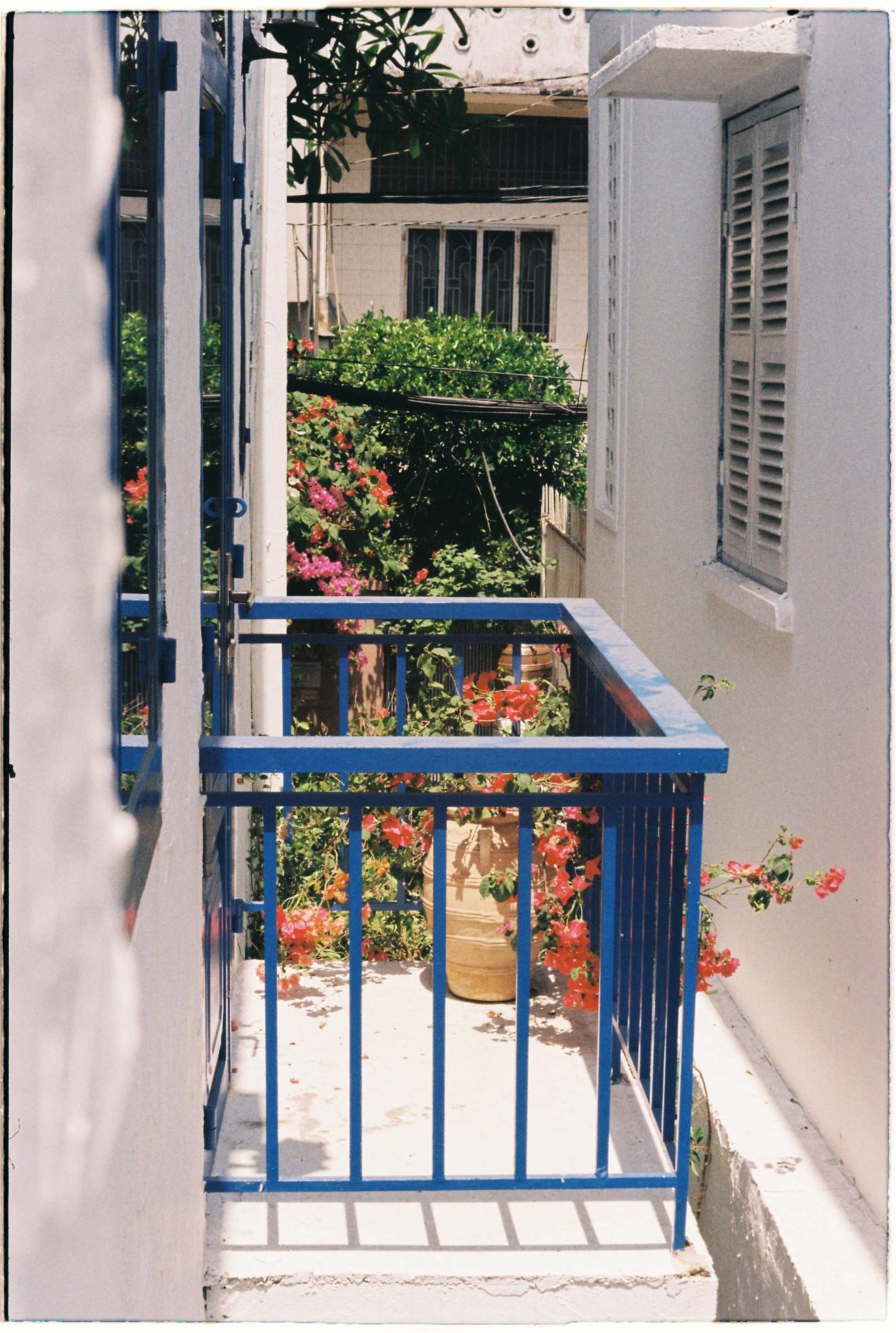 Kwiaty balkonowe nie wymagające dużo słońca – idealne dla zacienionych balkonów