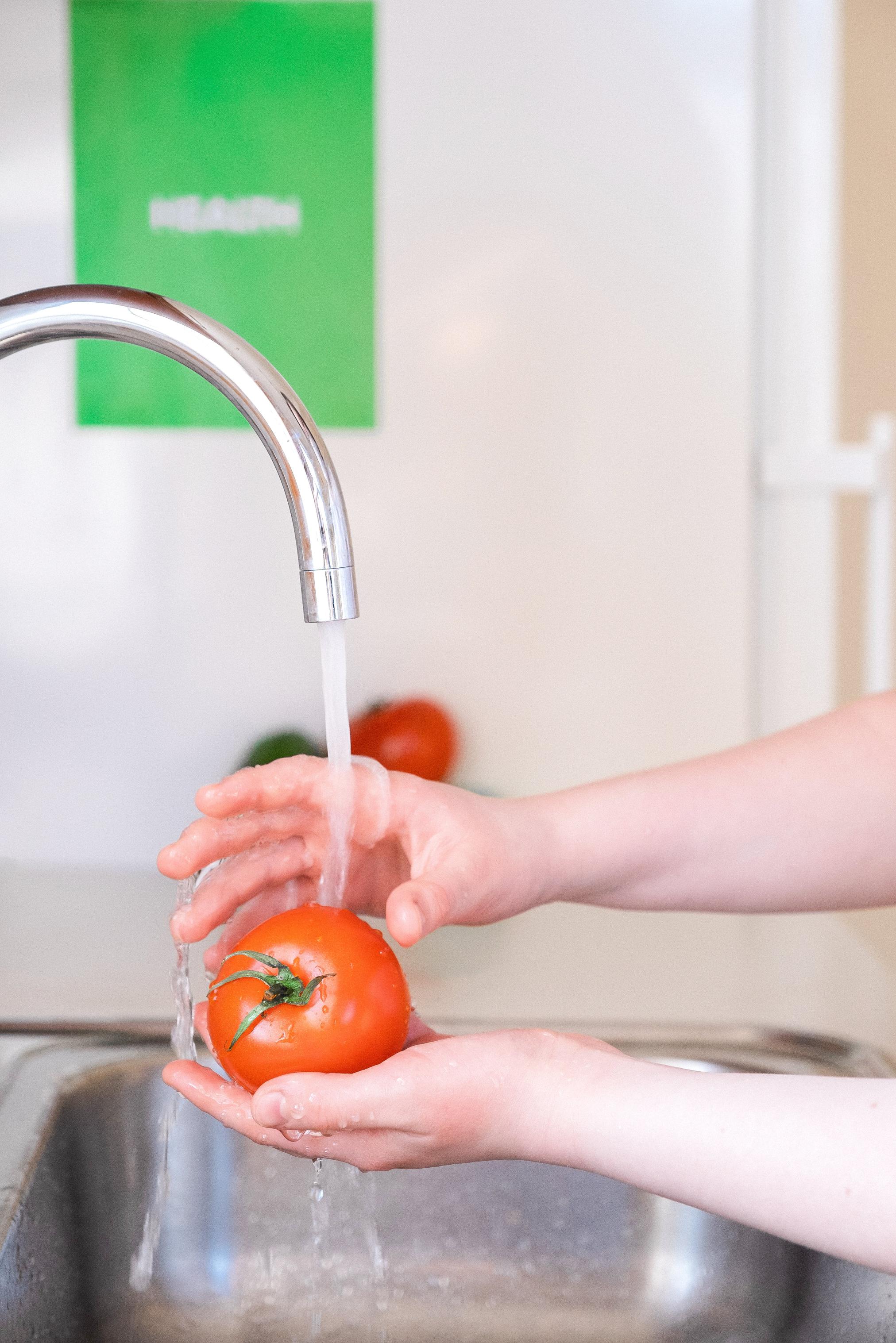 Pielęgnacja pomidorów – podlewanie, nawożenie i ochrona przed chorobami